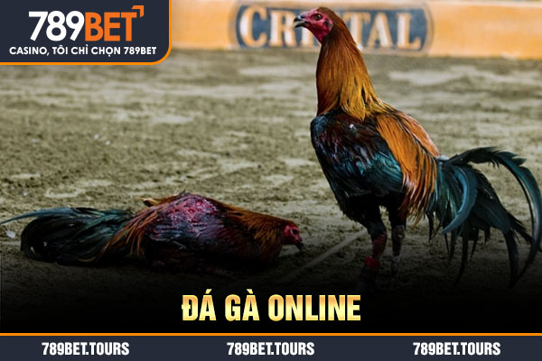 đá gà online