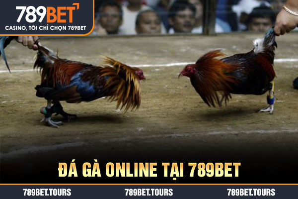 Đá gà online tại 789bet