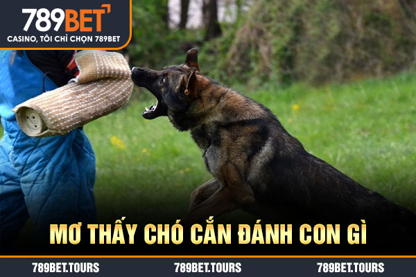 mơ thấy chó cắn đánh con gì