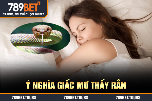 Ý nghĩa giấc mơ thấy rắn